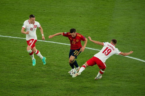 2024年全国青少年体育联合会体校分会羽毛球公开赛举行