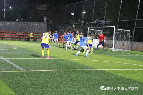 强化制度落实 筑牢底线意识 山东省反兴奋剂工作扎实开展